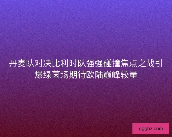 丹麦队对决比利时队强强碰撞焦点之战引爆绿茵场期待欧陆巅峰较量