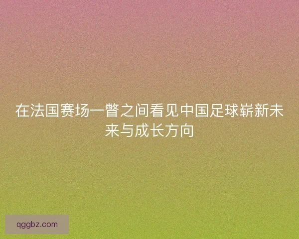 在法国赛场一瞥之间看见中国足球崭新未来与成长方向